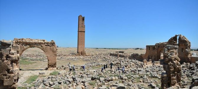 Genesis 29: Jacob In Harran