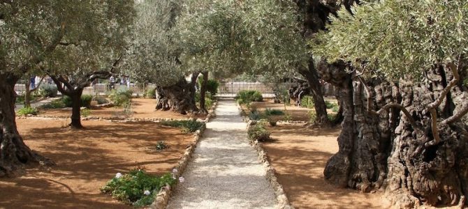 Matthew 26: The Plot Against Jesus