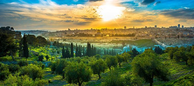 Mark 1: John the Baptist Prepares the Way