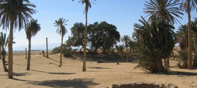 Exodus 15: The Song of Moses and Miriam